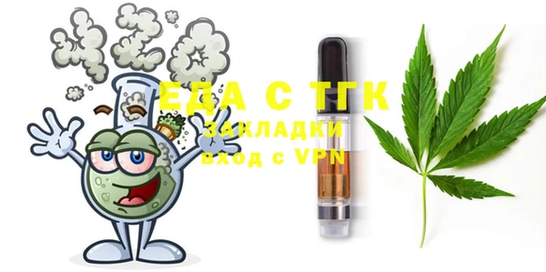 хмурый Алексин