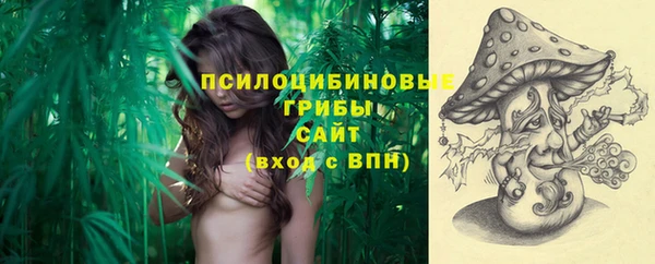 стаф Алексеевка