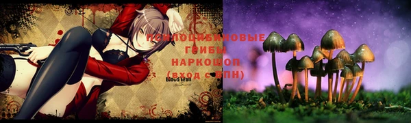 ПСИЛОЦИБИНОВЫЕ ГРИБЫ Абинск